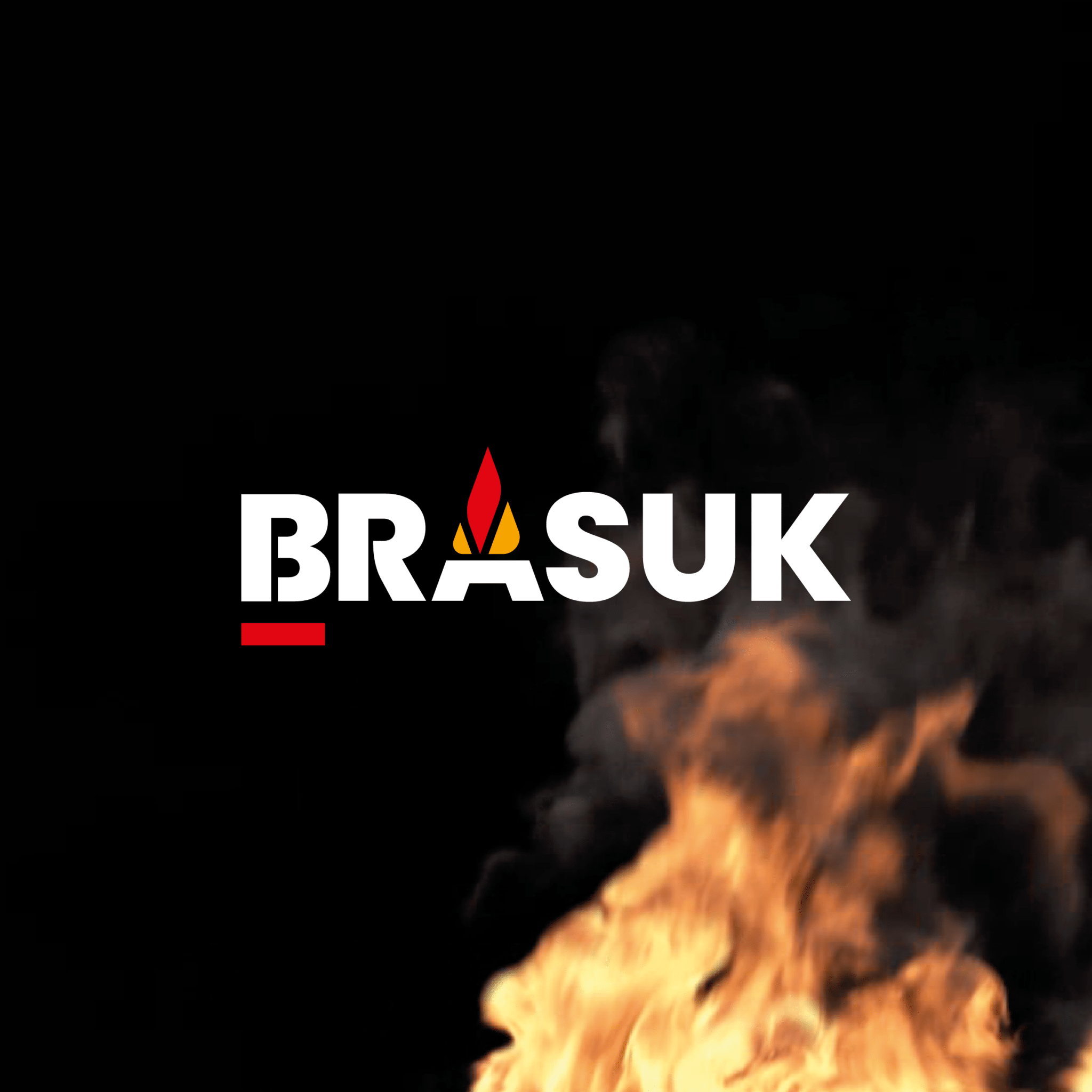 Graphiste/webdesigner dans le Gard